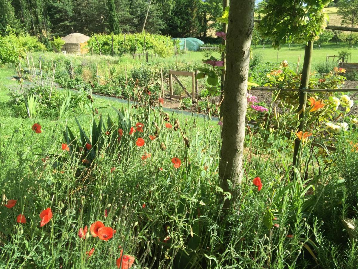La Source, Vegetarian Guest House Chabeuil Esterno foto