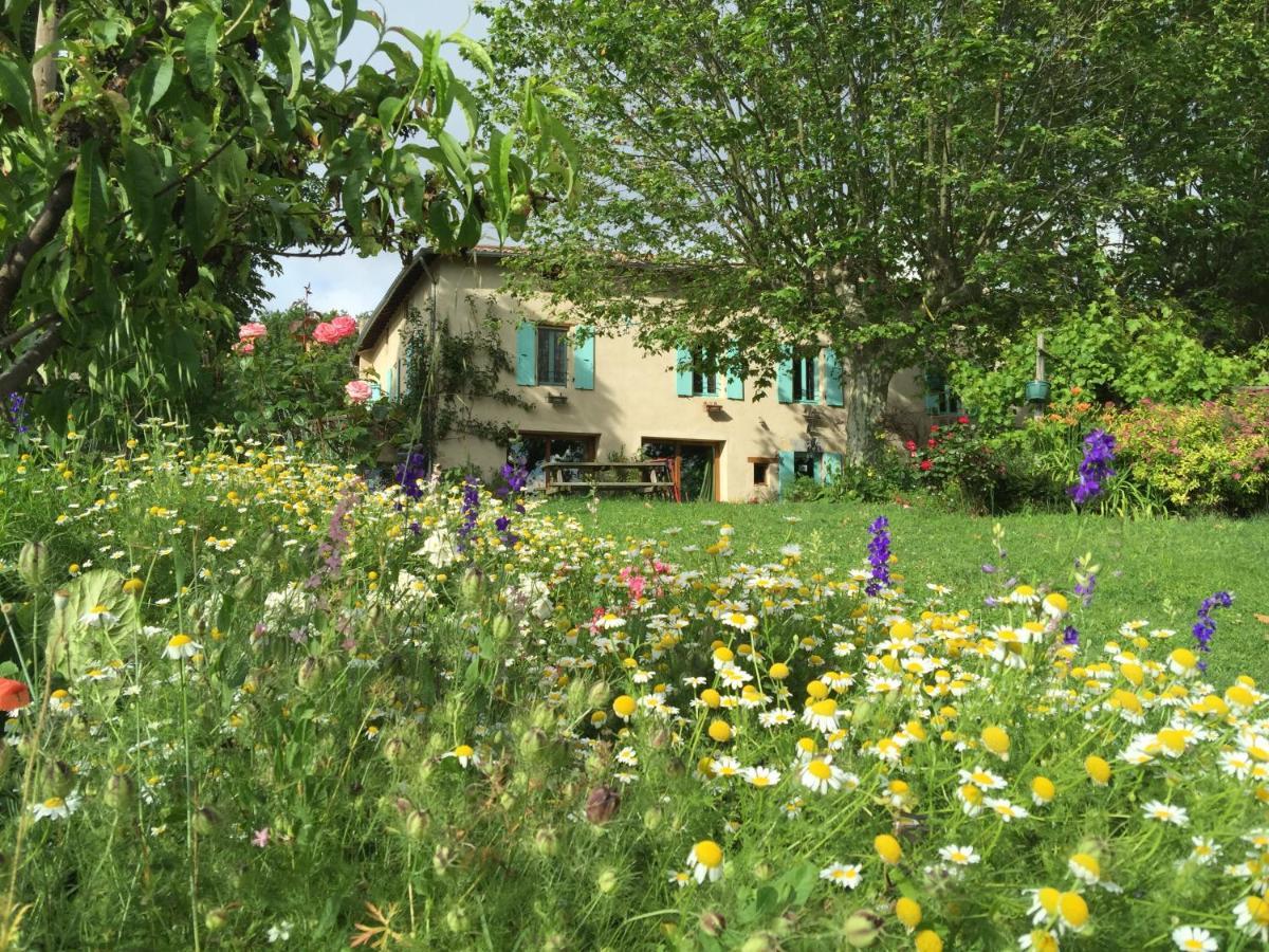 La Source, Vegetarian Guest House Chabeuil Esterno foto