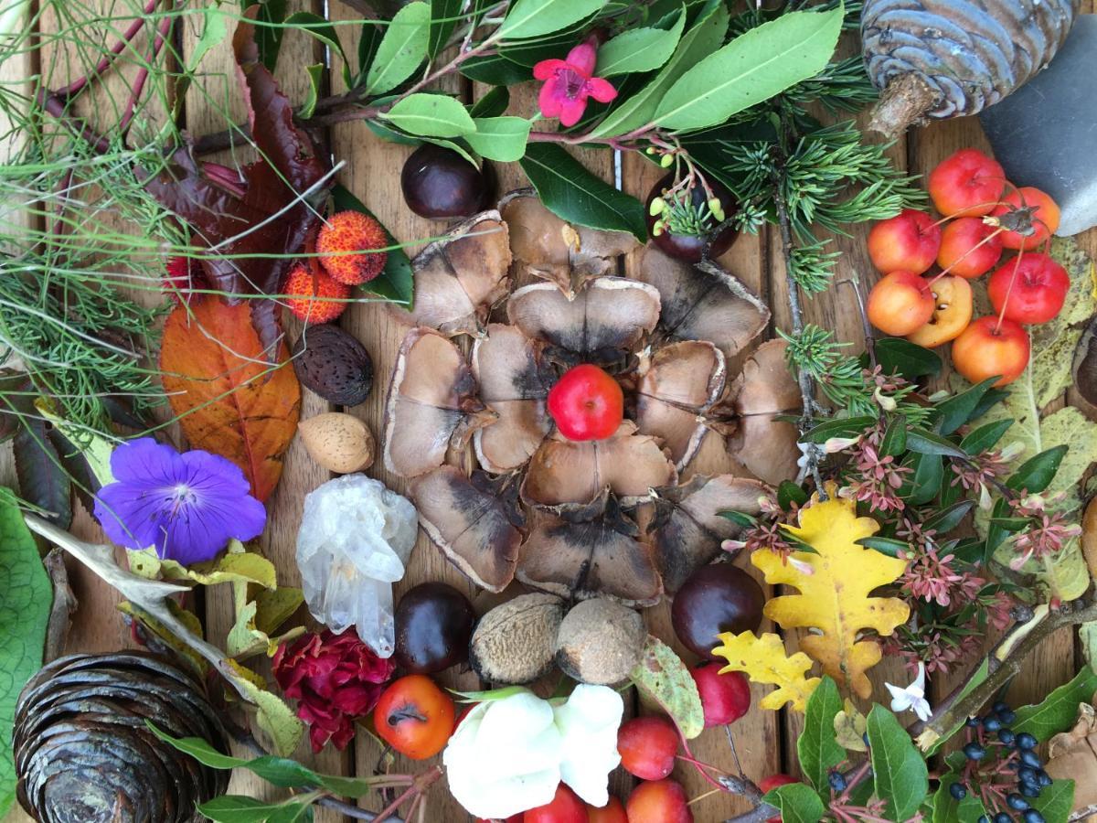 La Source, Vegetarian Guest House Chabeuil Esterno foto