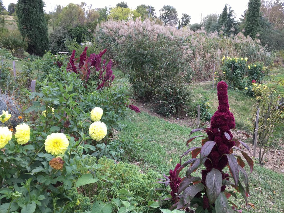 La Source, Vegetarian Guest House Chabeuil Esterno foto
