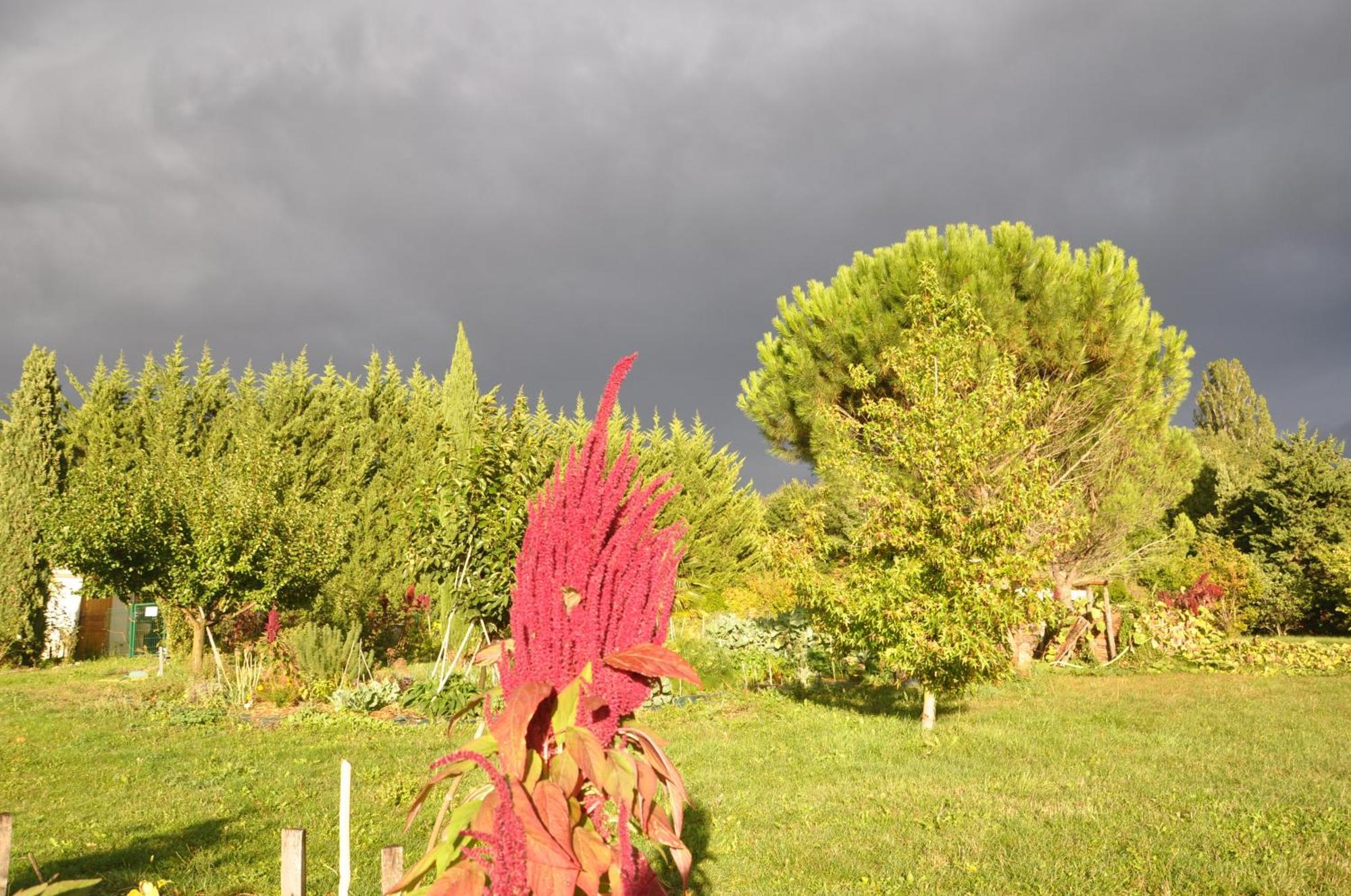 La Source, Vegetarian Guest House Chabeuil Esterno foto