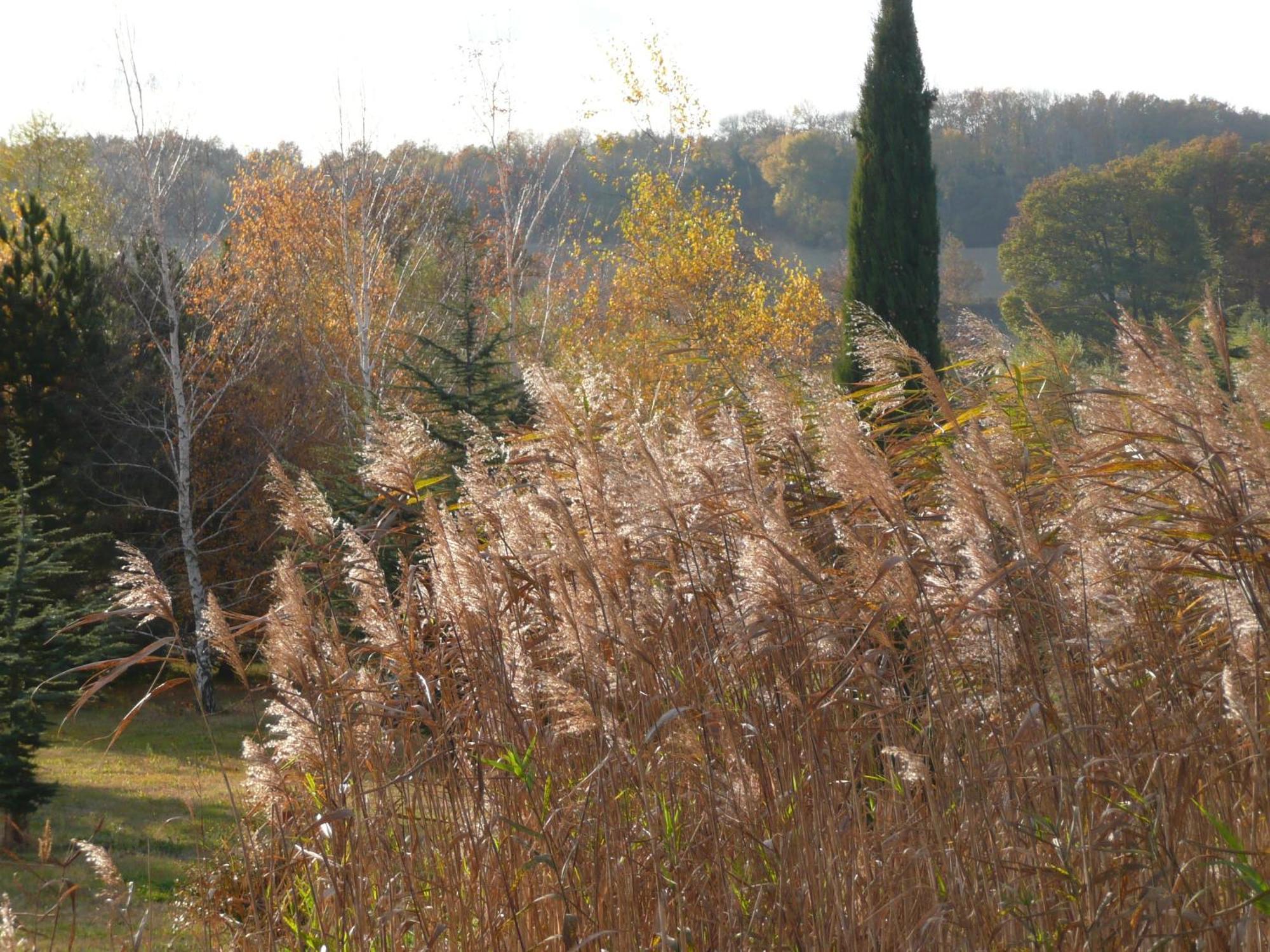 La Source, Vegetarian Guest House Chabeuil Esterno foto