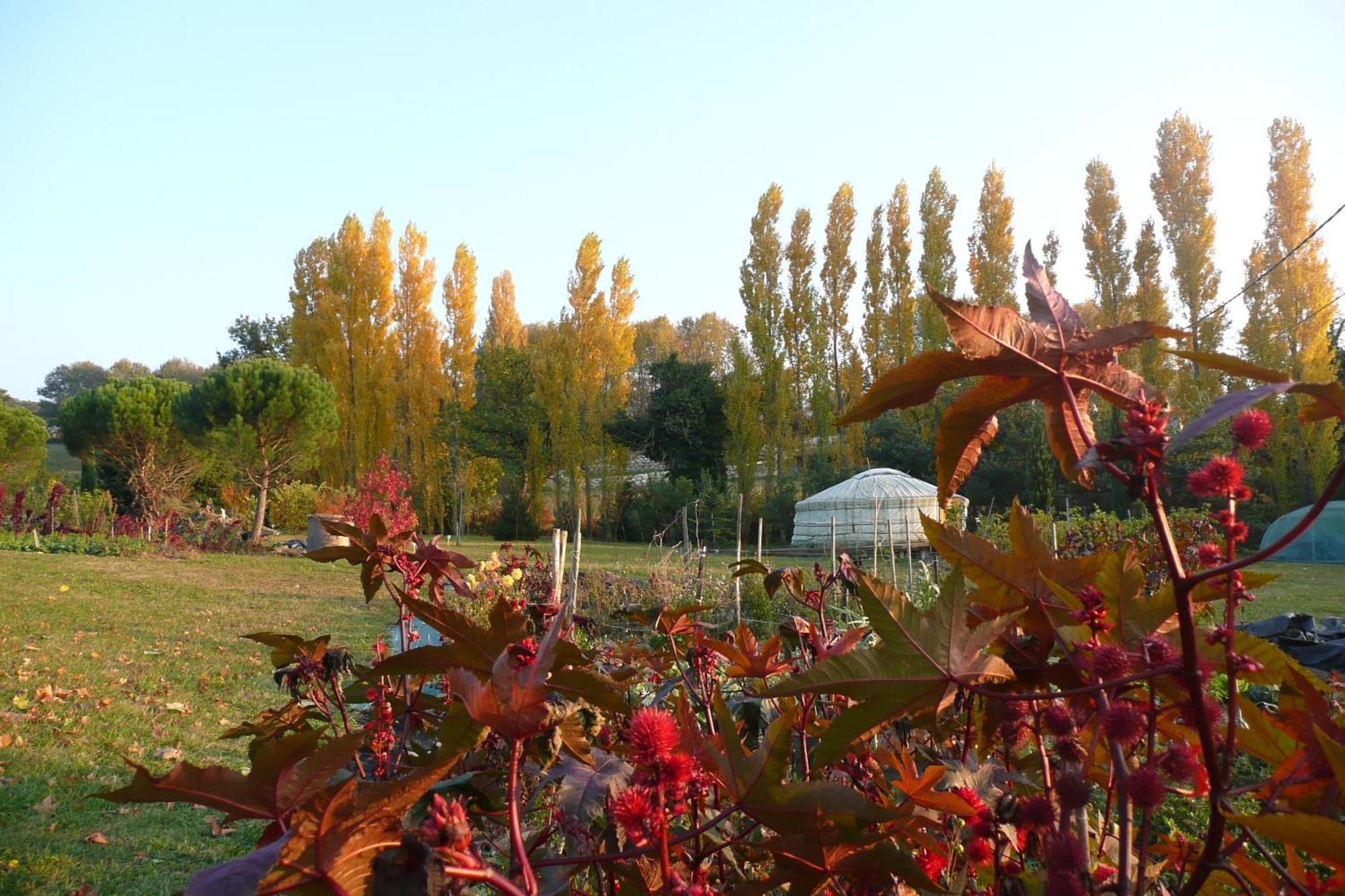 La Source, Vegetarian Guest House Chabeuil Esterno foto