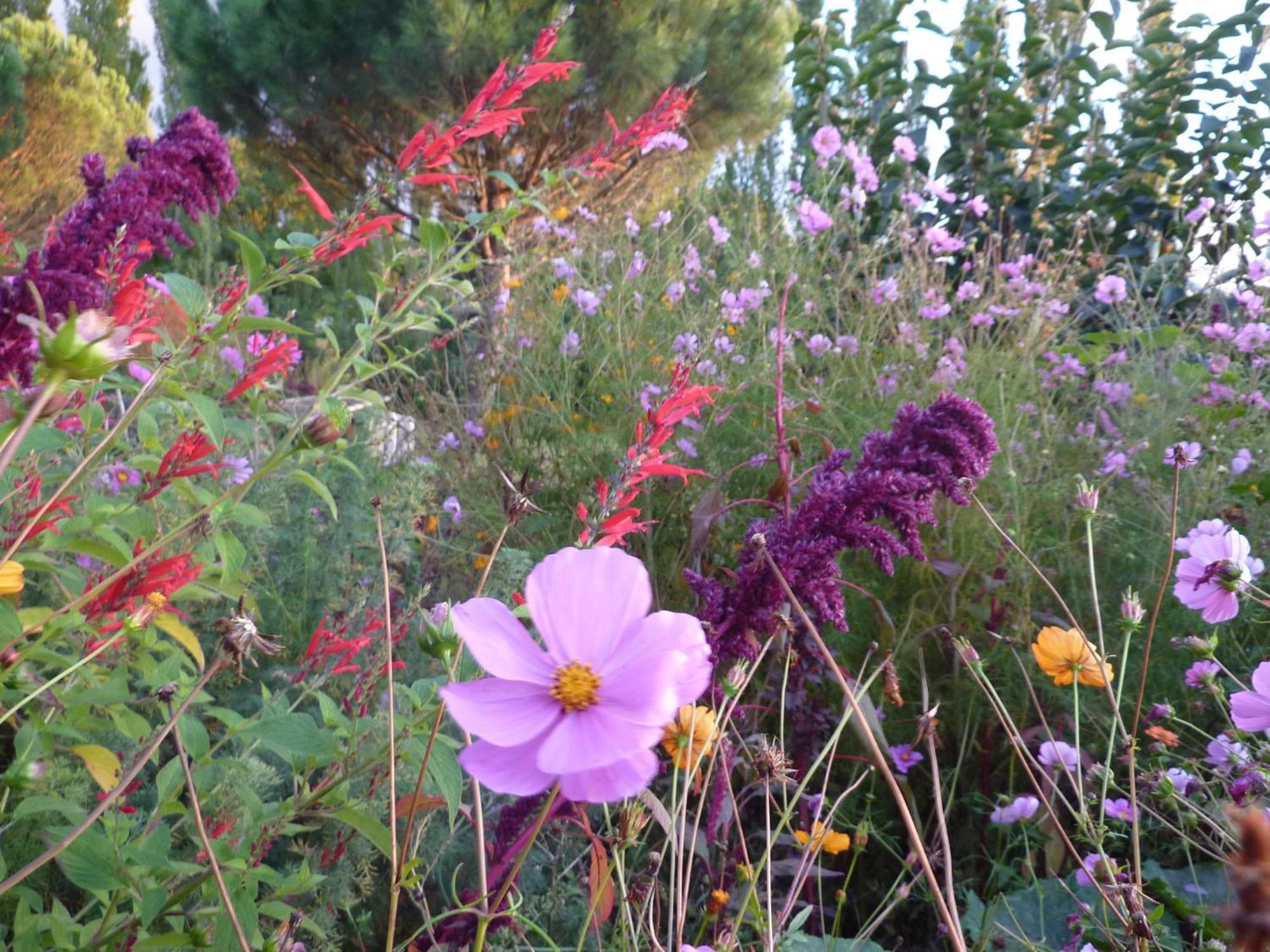 La Source, Vegetarian Guest House Chabeuil Esterno foto