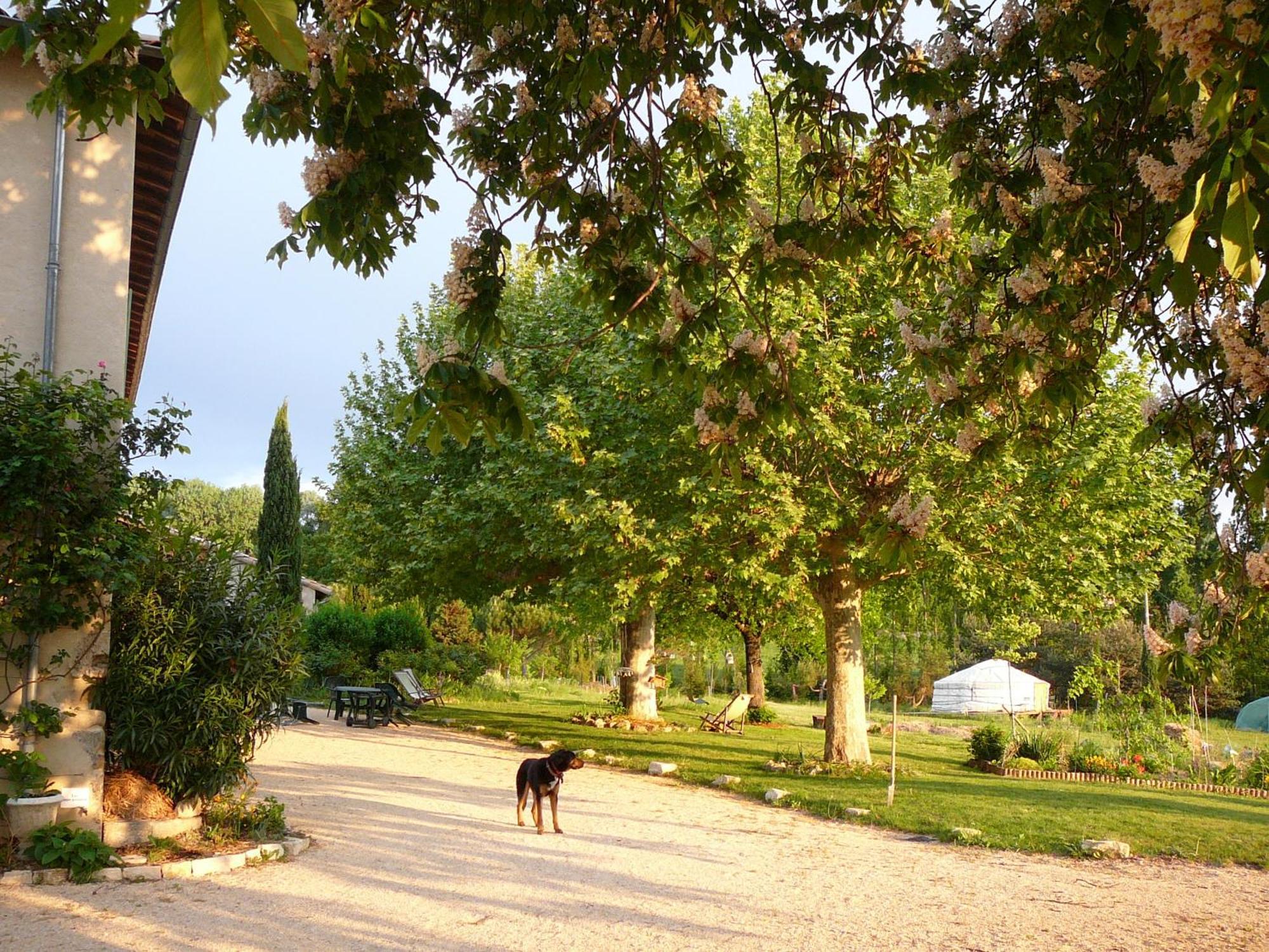 La Source, Vegetarian Guest House Chabeuil Esterno foto