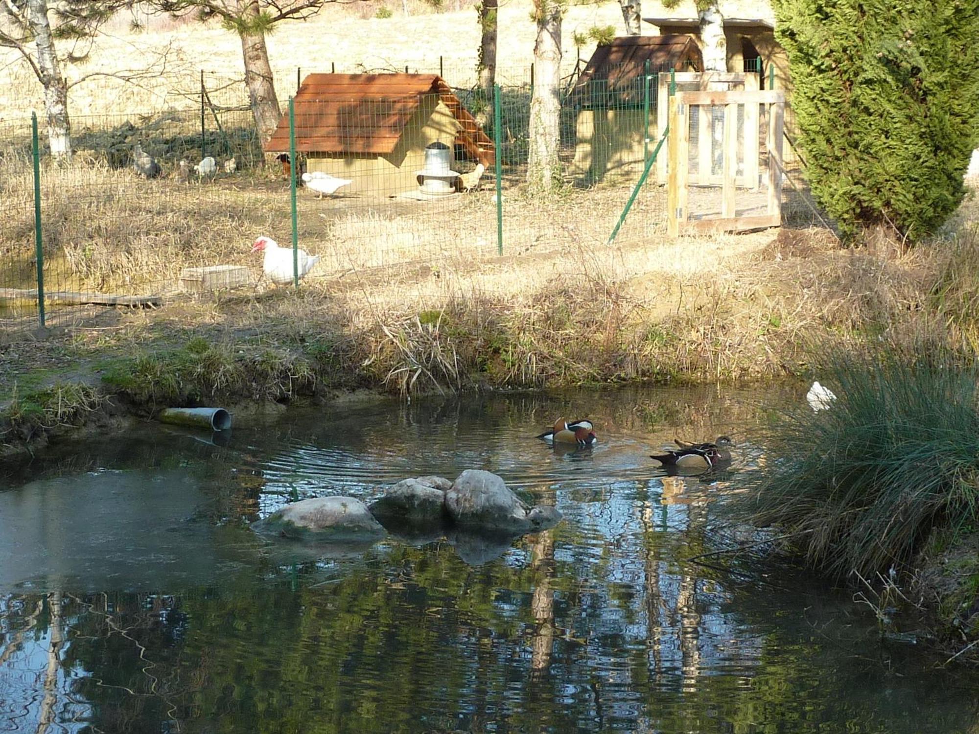 La Source, Vegetarian Guest House Chabeuil Esterno foto