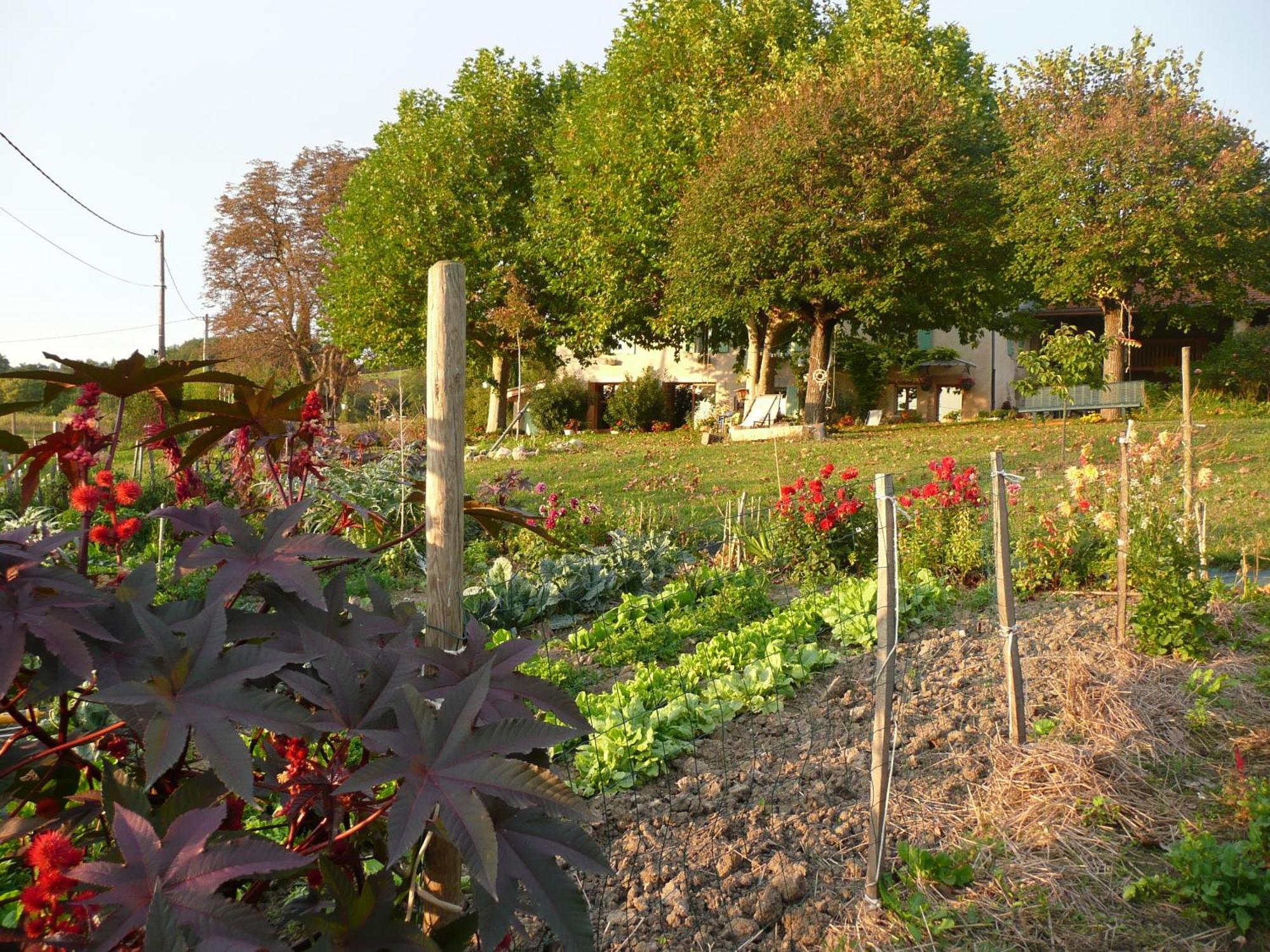 La Source, Vegetarian Guest House Chabeuil Esterno foto